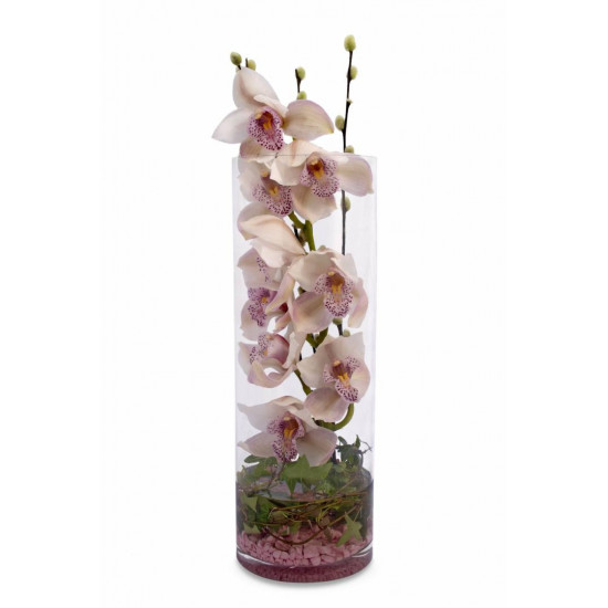 Orchid Cymbidium In Glass Vase
